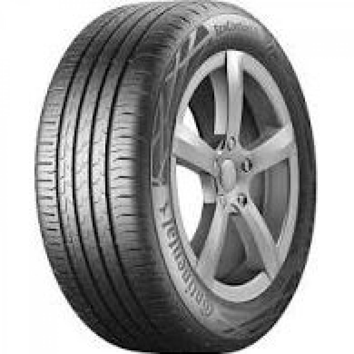 175/65 R14 ECOCONTACT6 82T (Szgk.nyári abroncs)